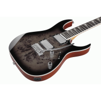 Load image into Gallery viewer, IBANEZ RG220PA1 BKB Electric Guitar