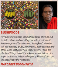 Load image into Gallery viewer, Kala Desert Storylines Margaret Bloomfield Soprano - With Bag
