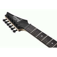 Load image into Gallery viewer, IBANEZ RG120QASP BGD Electric Guitar
